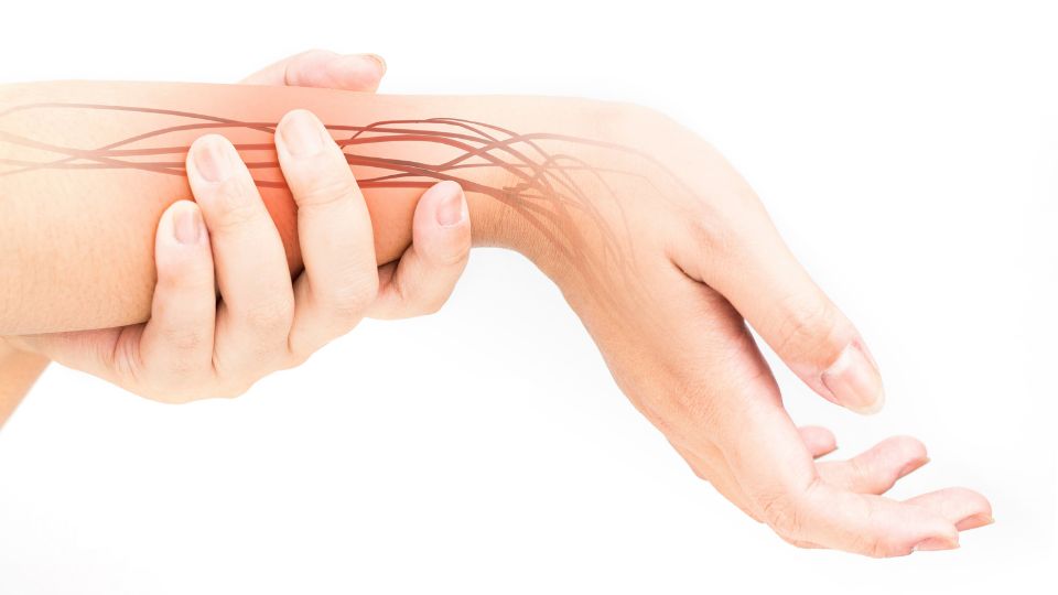 lesion de tendones flexores y extensores