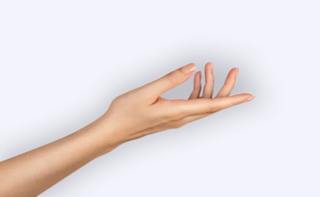 Reimplantes y revascularización